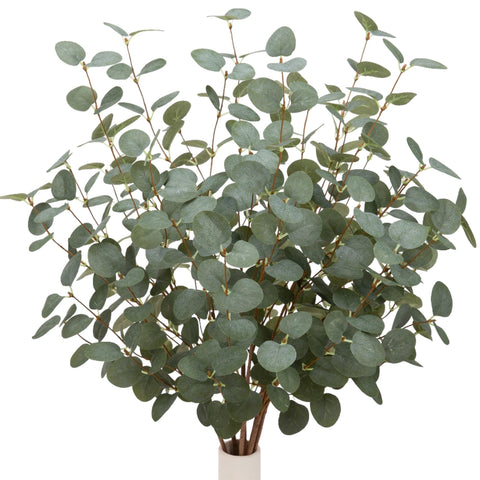 VGIA eucalyptus front packaging showing 12 stems and dark green leaves, decorative convenience