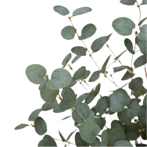 VGIA eucalyptus woven into a wedding arch garland showing event-ready durability and visual impact