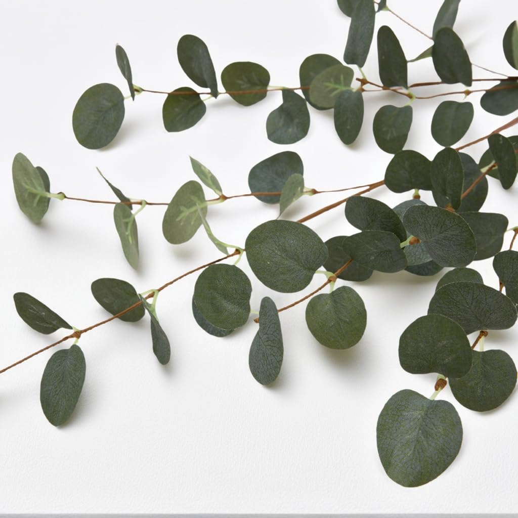 VGIA eucalyptus next to a ruler showing 27-inch length for accurate sizing and planning