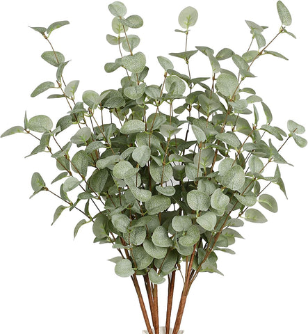 VGIA front view of 12 eucalyptus stems showing full pack benefit