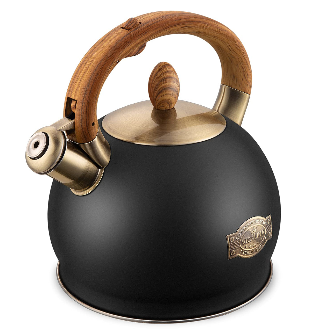 VICALINA kettle front view showing black stainless finish and quick heating benefit