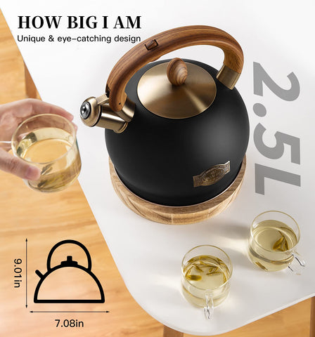 VICALINA whistle cap closeup highlighting loud audible boil alert benefit