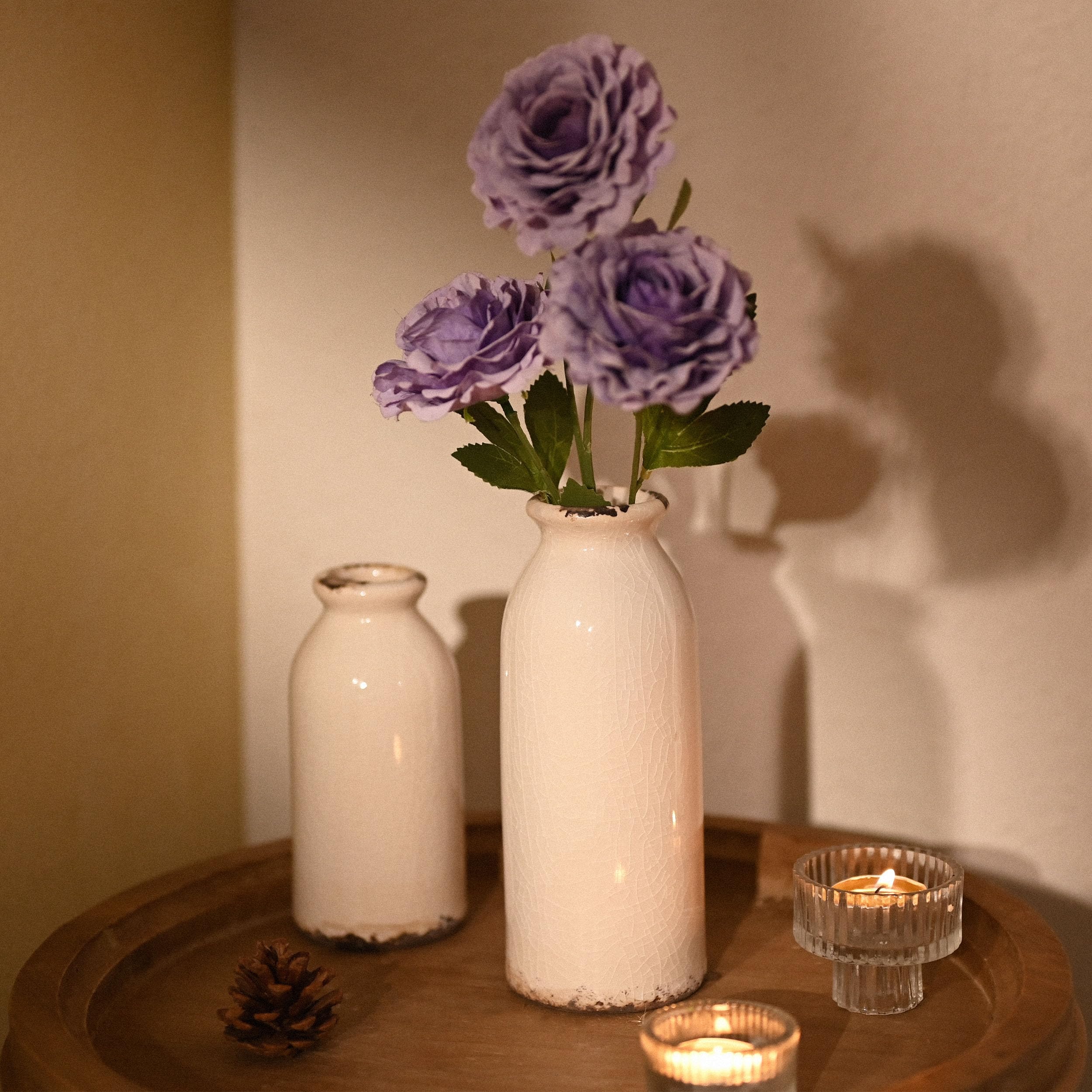 VICTOR & TERESA vases beside a ruler illustrating size and space-saving benefit