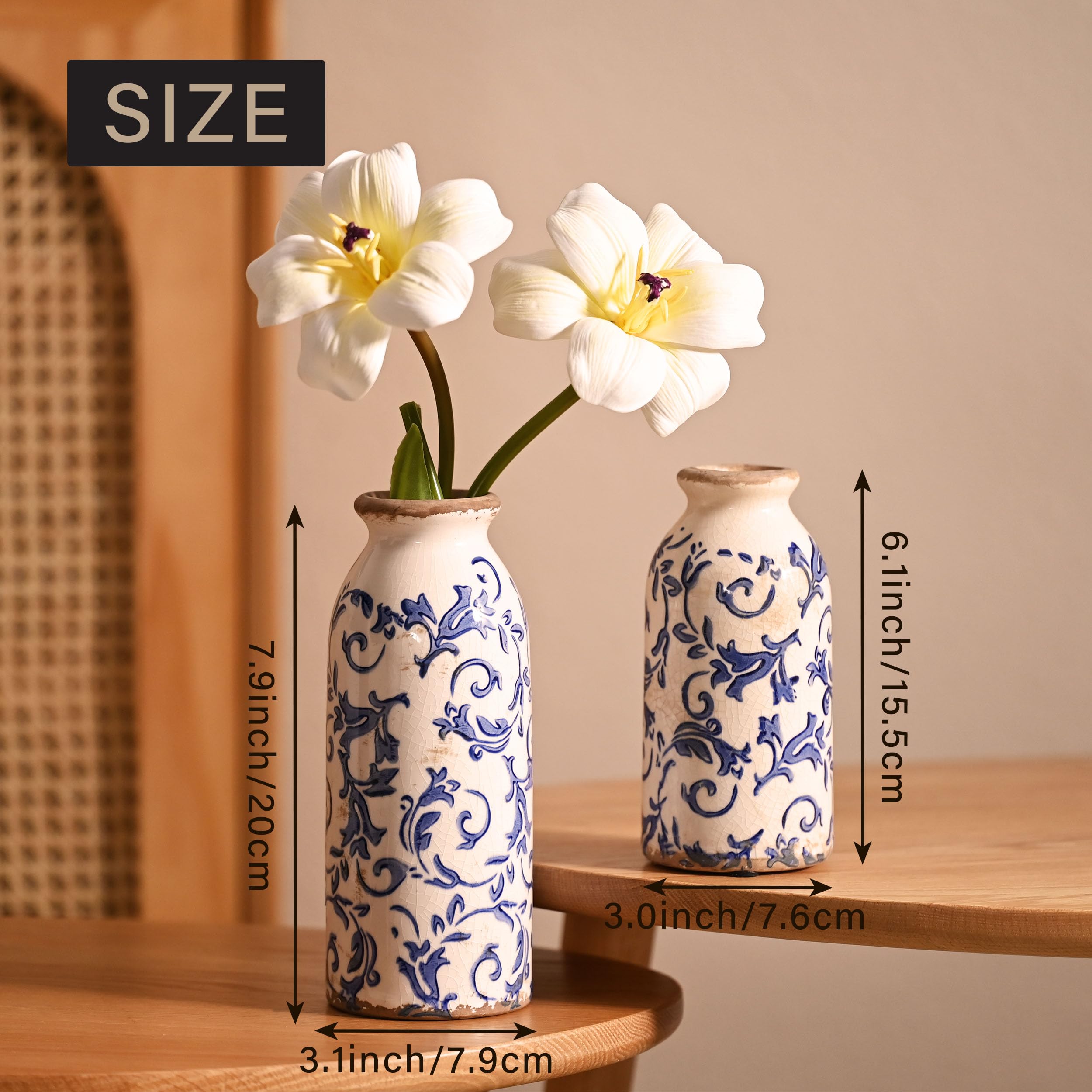 VICTOR & TERESA vase arranged with pampas grass illustrating natural styling and height