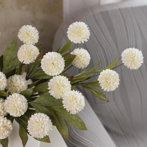 VIERENA clustered flower heads displaying dense visual volume