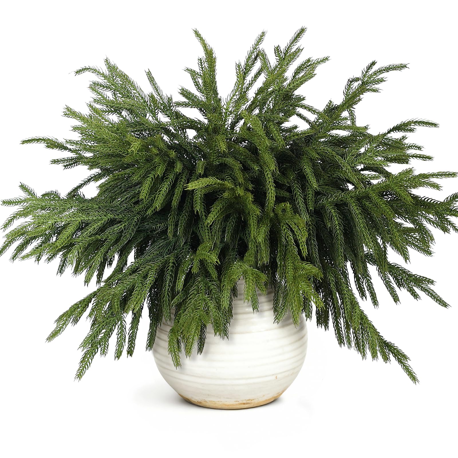 VIERENA front view of 20-branch bundle showing quantity and length