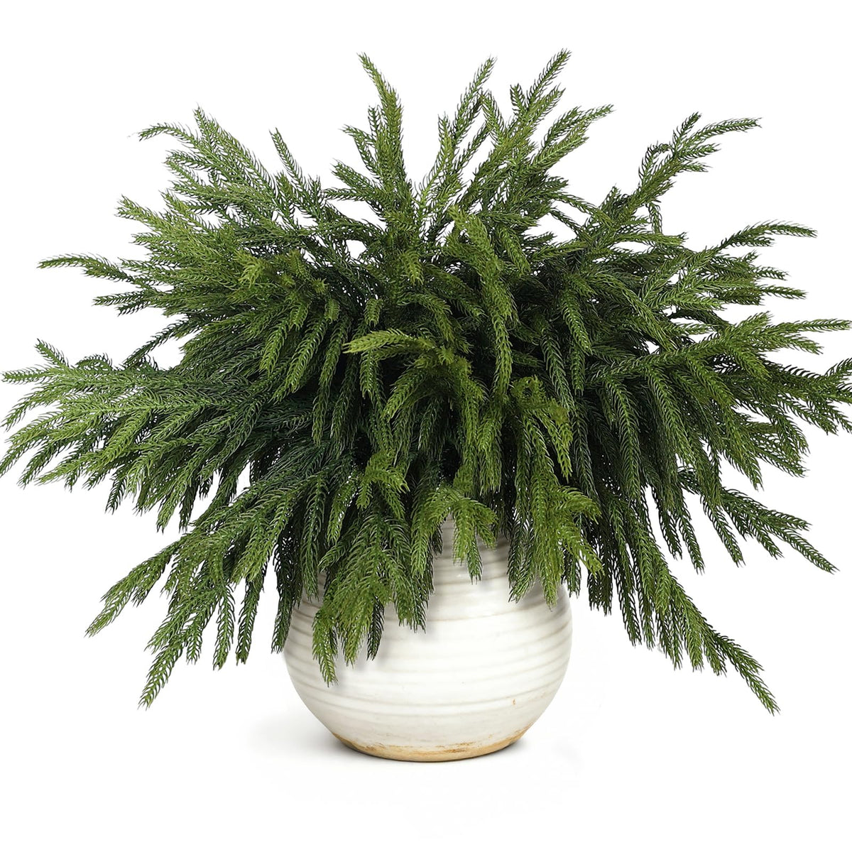 VIERENA front view of 20-branch bundle showing quantity and length