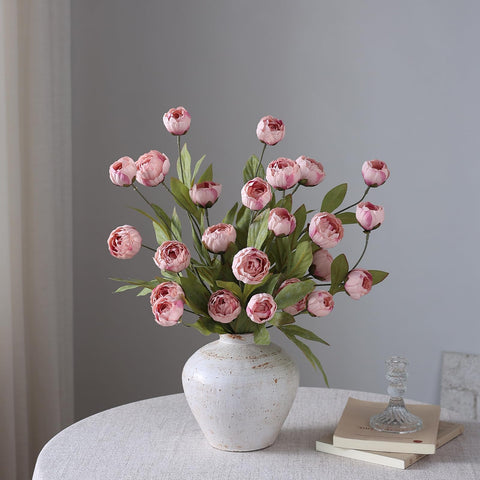 VIERENA peony length shown against ruler illustrating 27 inch stems for scale