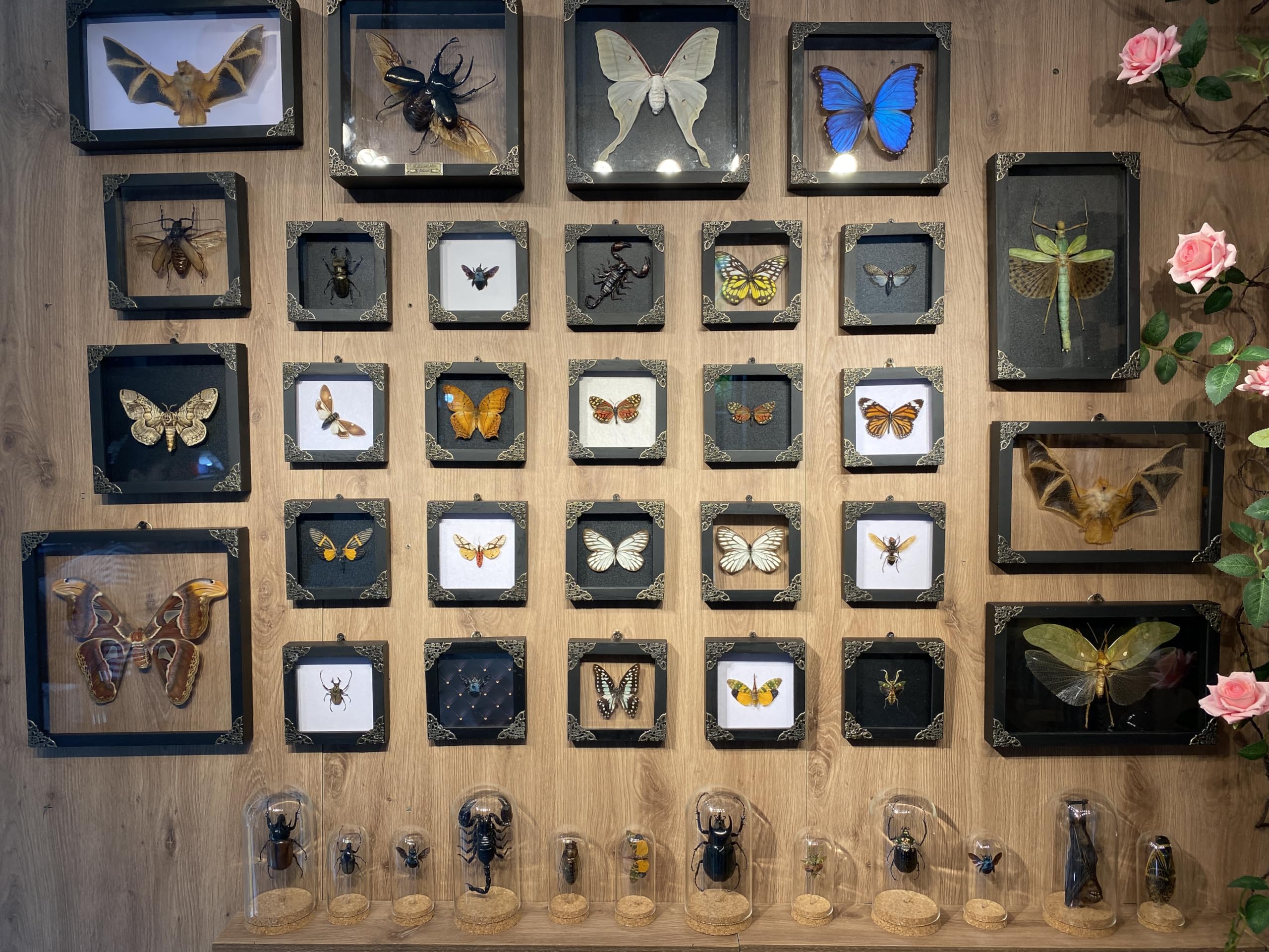 VINADECOR on a styled shelf, enhancing witchy and curiosity displays