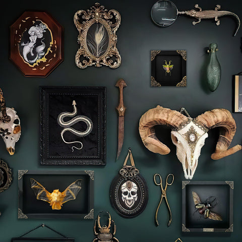 vinatimes framed mantis on gallery wall showing decorative use benefit conversation piece