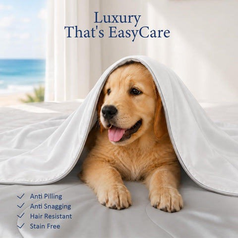 Vine Voice styled bedroom scene showing comforter in real room for lifestyle appeal