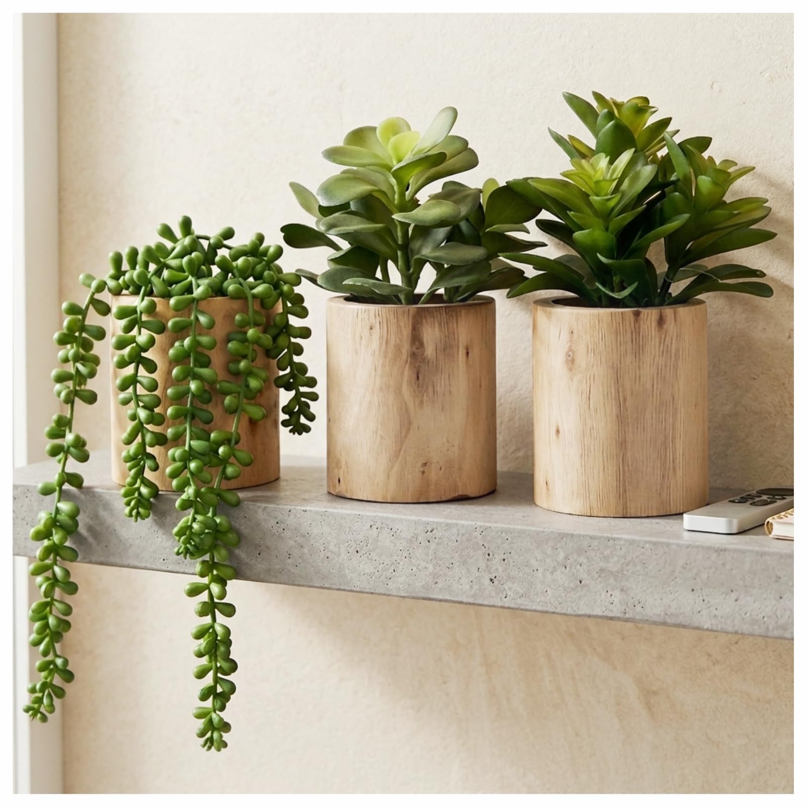 VINSUNI three potted succulents front view adds instant decor appeal