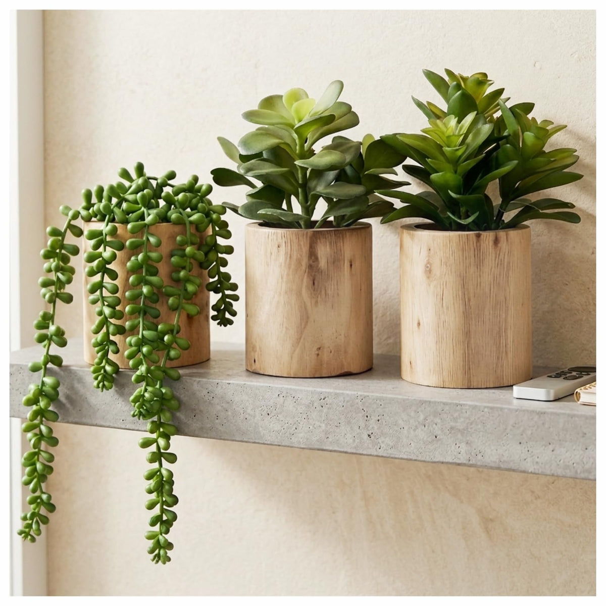 VINSUNI three potted succulents front view adds instant decor appeal