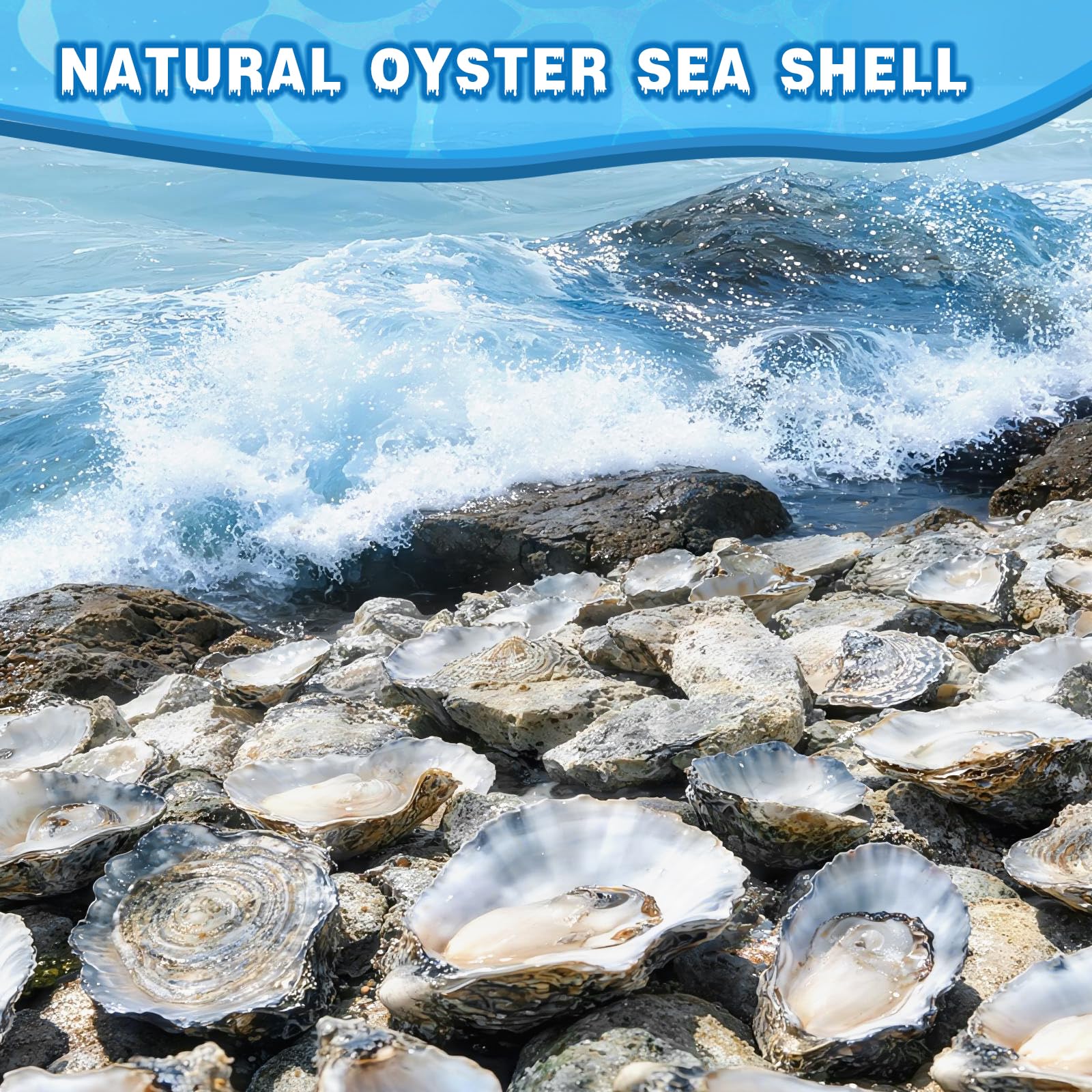 VMEECARL shells in wedding centerpiece, creates elegant coastal styling