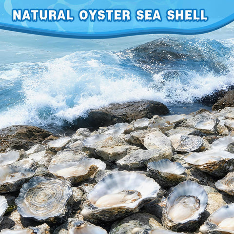 VMEECARL shells in wedding centerpiece, creates elegant coastal styling