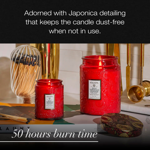 Hand holds Voluspa 5.5 oz jar to show compact scale and travel-friendly size