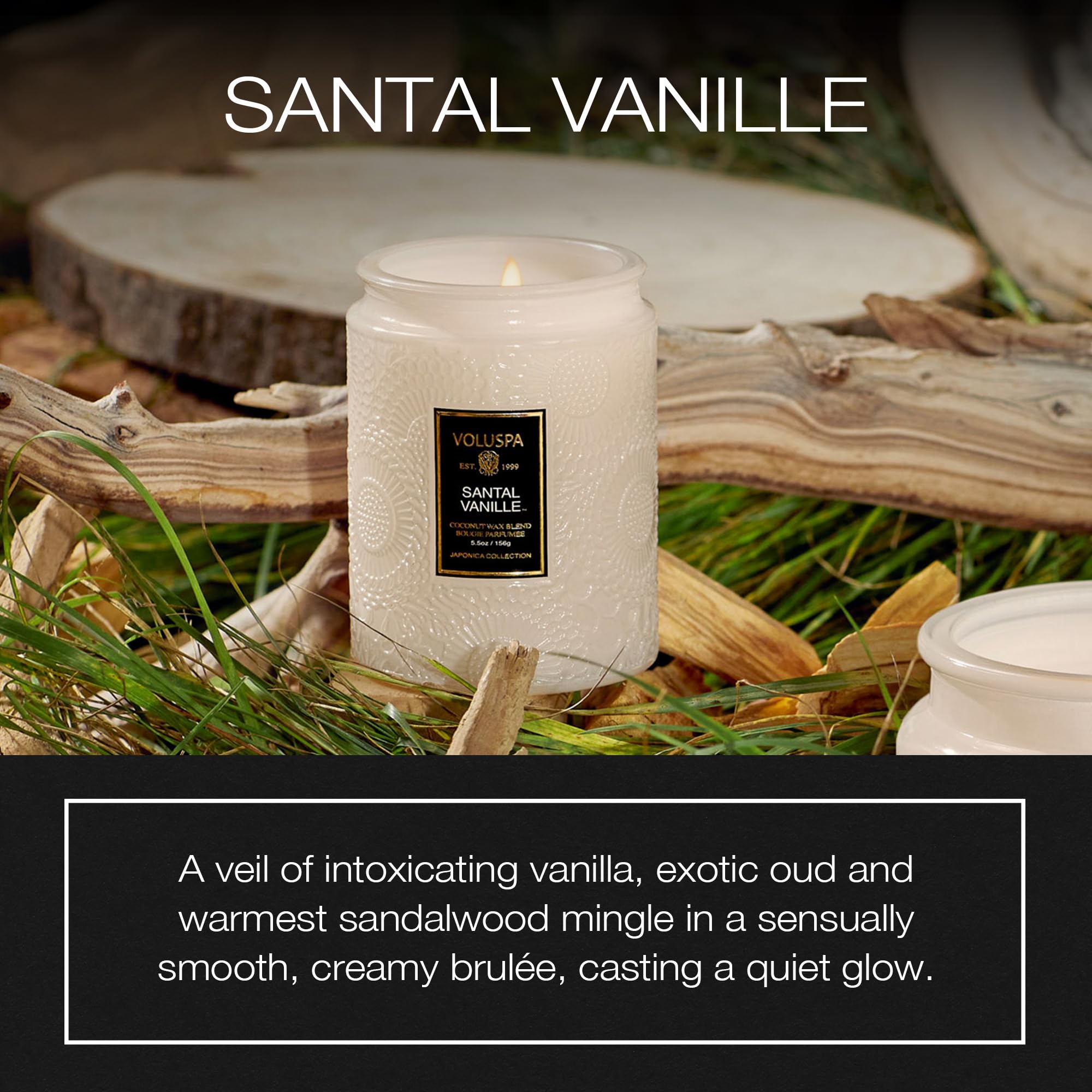 Voluspa wax close-up showing smooth coconut-wax surface benefit: even melt