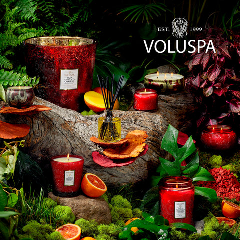 Voluspa melted wax pool close-up, clean coconut-wax texture ensures even scent