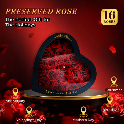Vryblos opened box top-down view displaying 16 real preserved roses neatly arranged