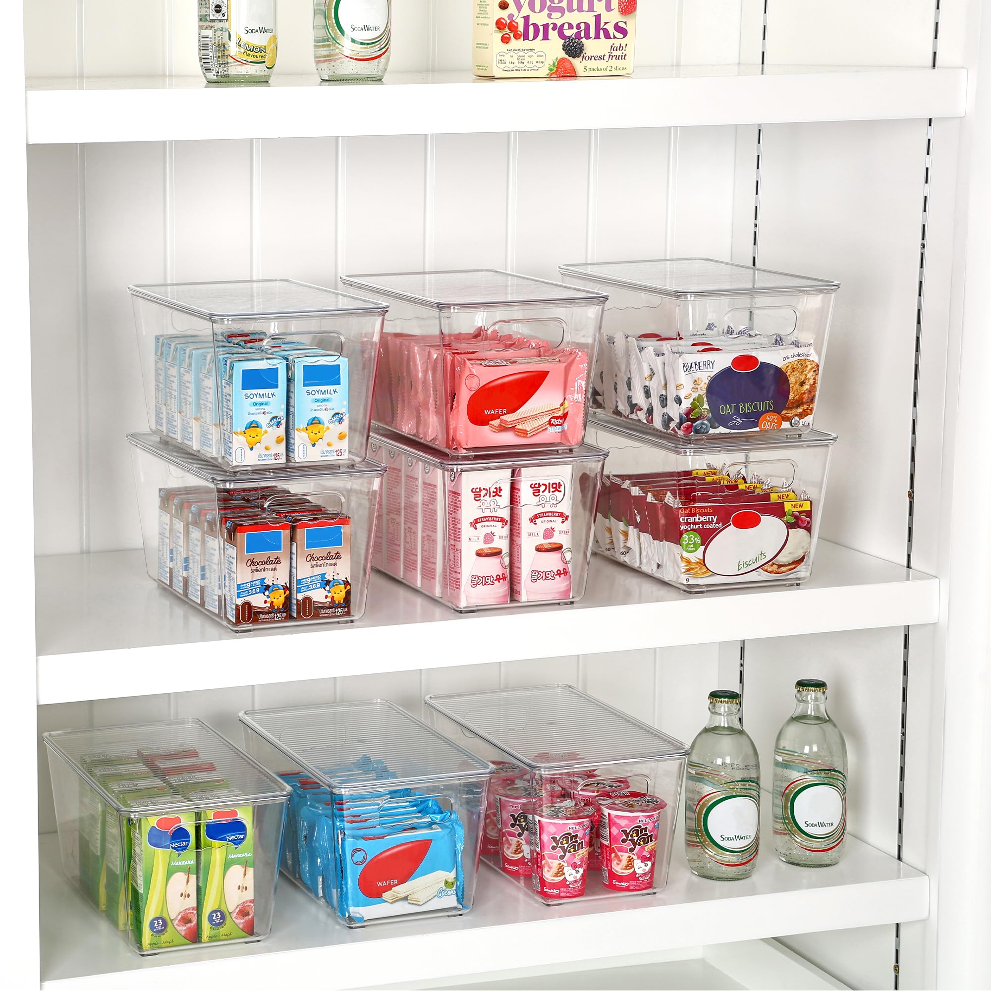 Vtopmart bin in pantry holding canned goods for visible sorting