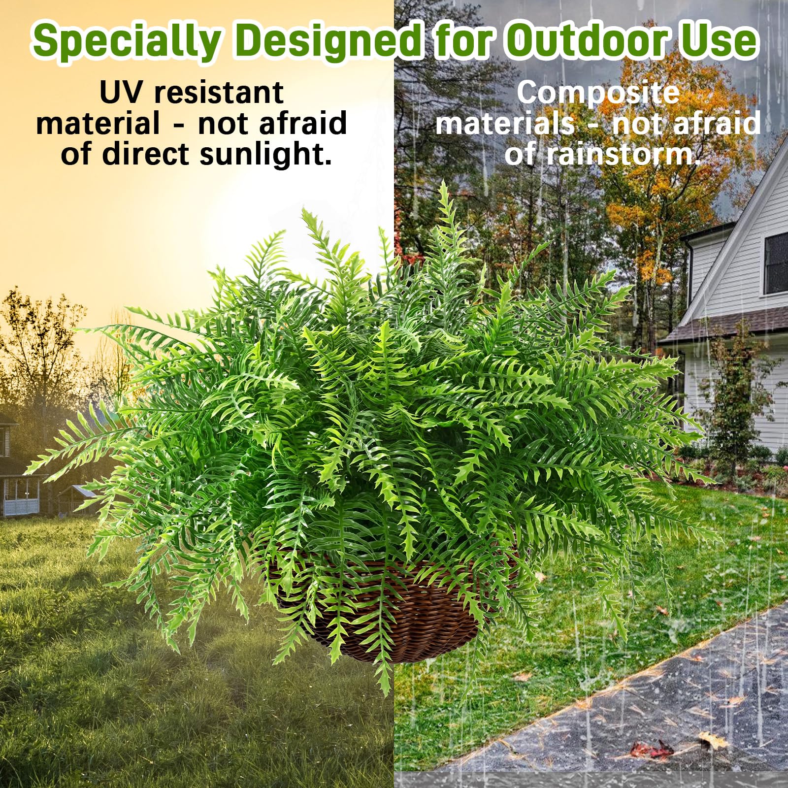 waipfaru fern hanging in bathroom highlighting moisture-safe decor and fresh appearance
