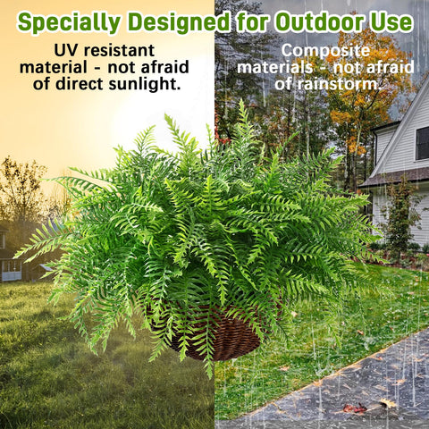 waipfaru fern hanging in bathroom highlighting moisture-safe decor and fresh appearance