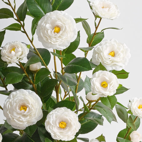 Waipfaru close-up of silk camellia petals highlighting natural texture