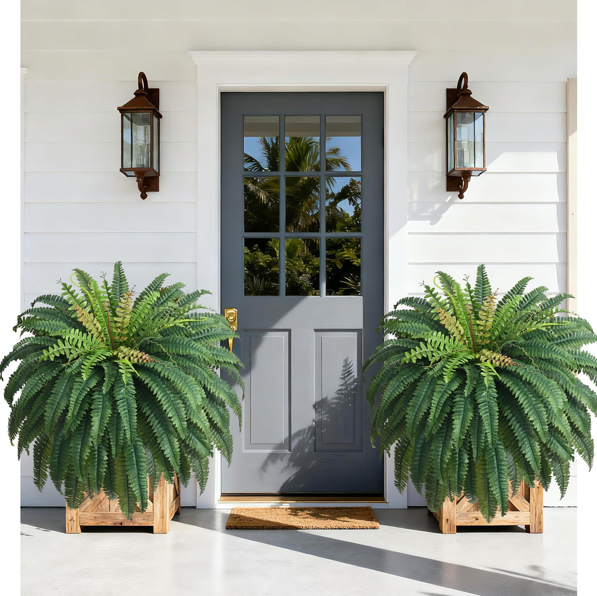 Waipfaru front view of 48in fern pair showing full lush look and instant curb appeal