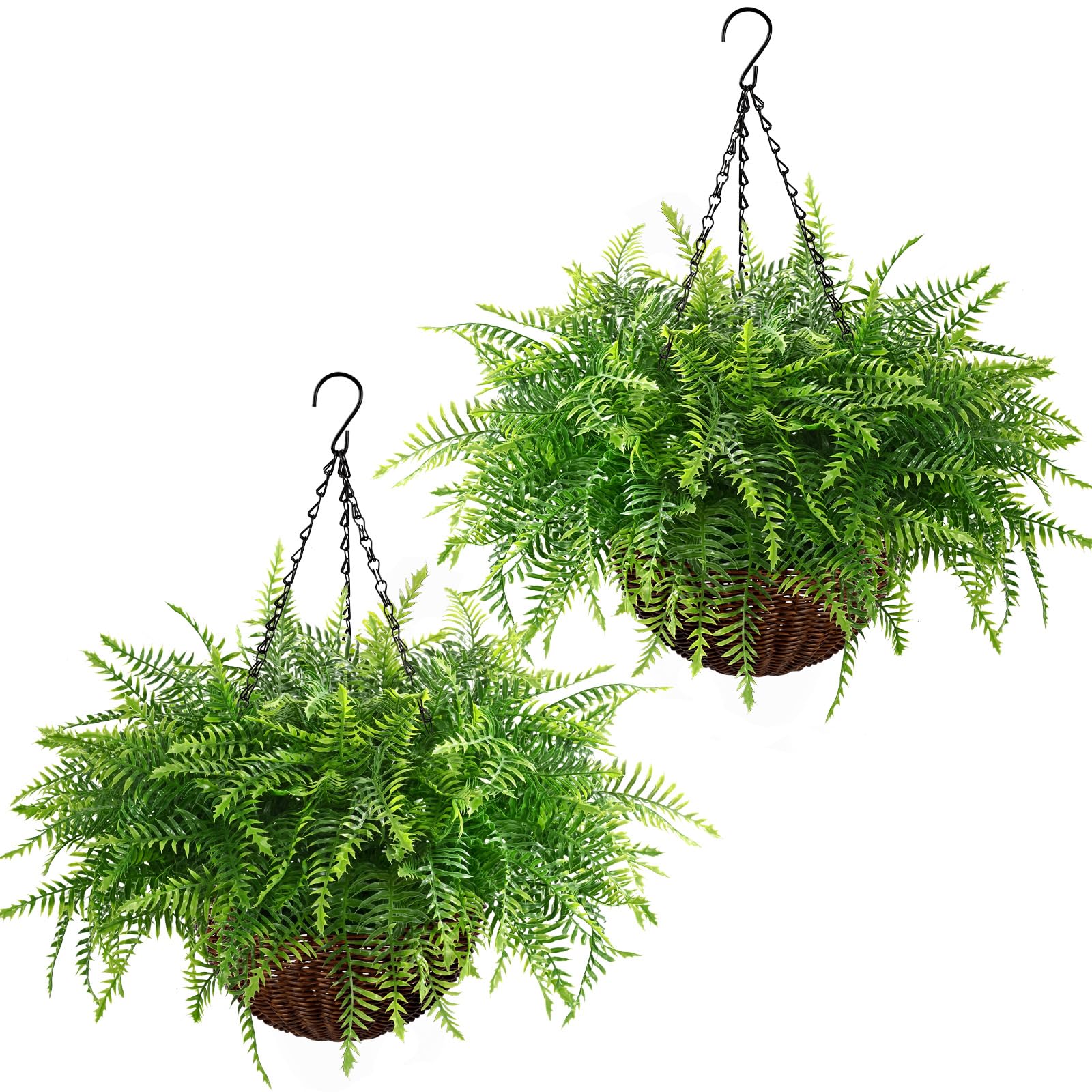 waipfaru front view of two hanging fern baskets showing lush greenery and instant curb appeal