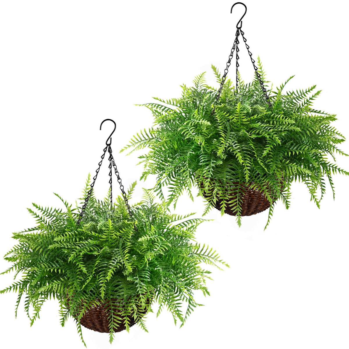waipfaru front view of two hanging fern baskets showing lush greenery and instant curb appeal