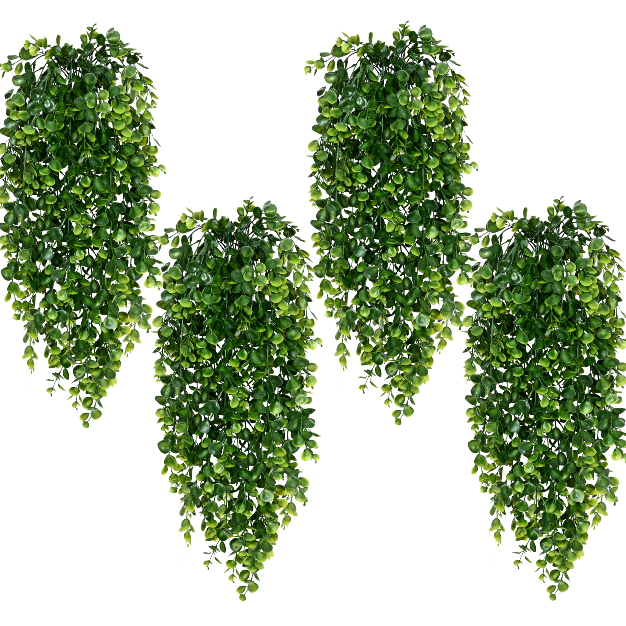 Waipfaru front view showing full hanging vines and instant greenery benefit