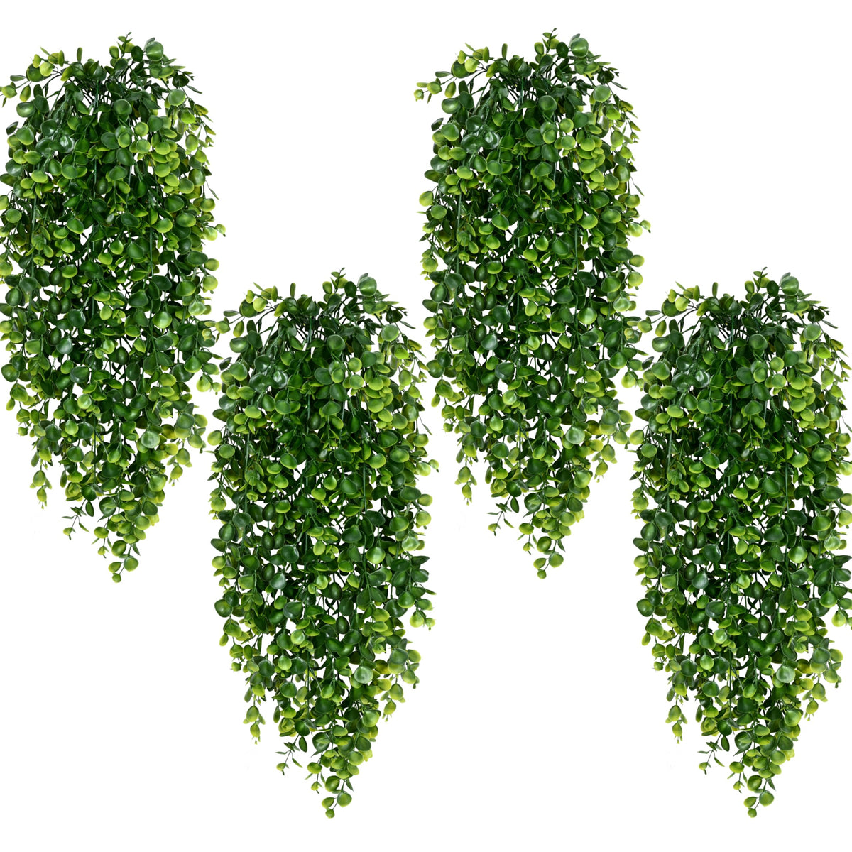 Waipfaru front view showing full hanging vines and instant greenery benefit
