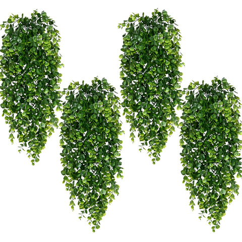 Waipfaru front view showing full hanging vines and instant greenery benefit