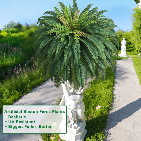 Waipfaru fern next to living room chair showing scale and decorative impact