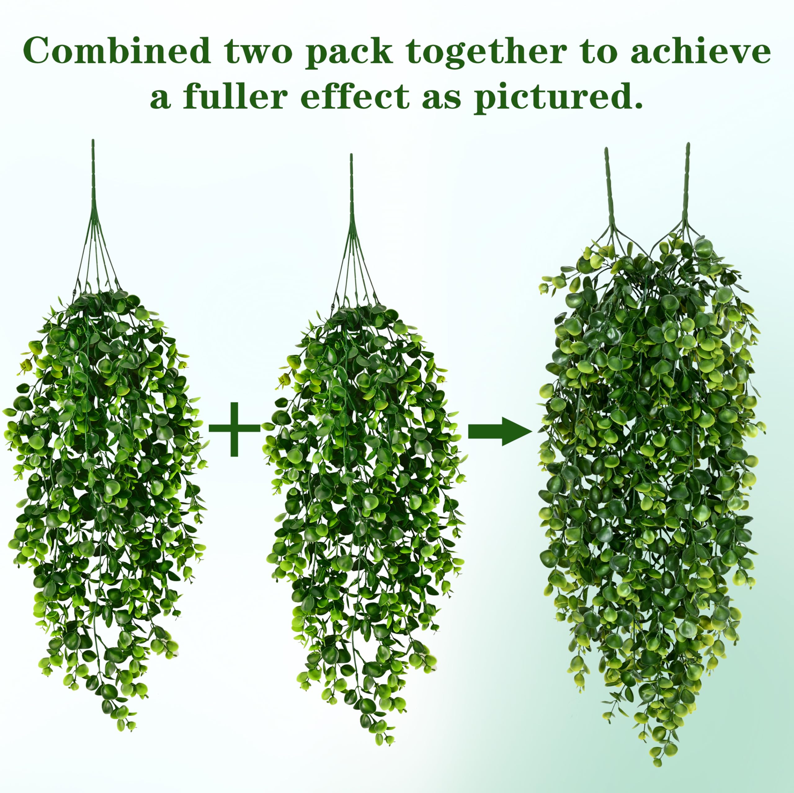 Waipfaru vines beside ruler showing 30-inch length for sizing clarity