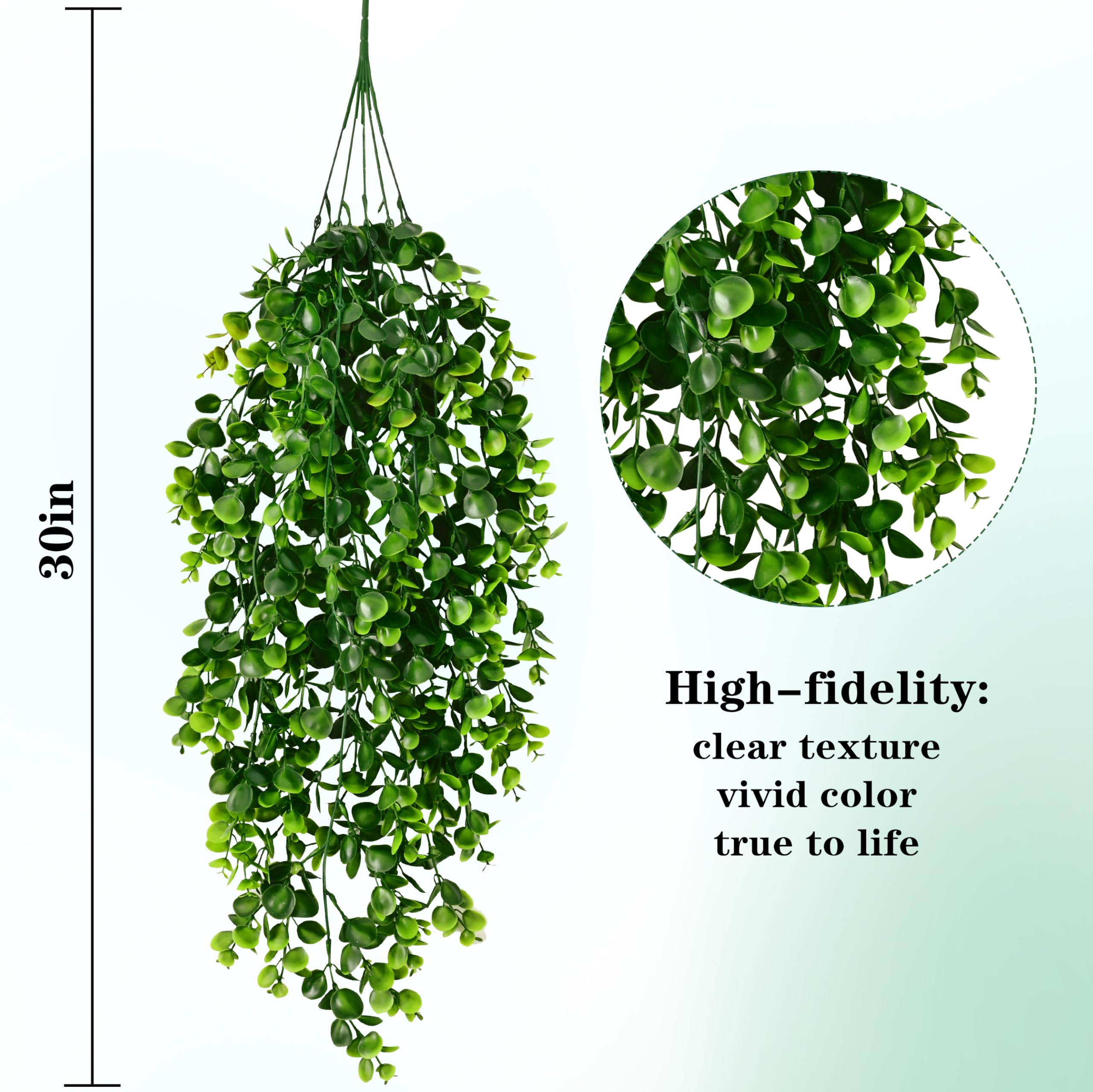 Waipfaru vines draped in living room adding low-maintenance decor warmth