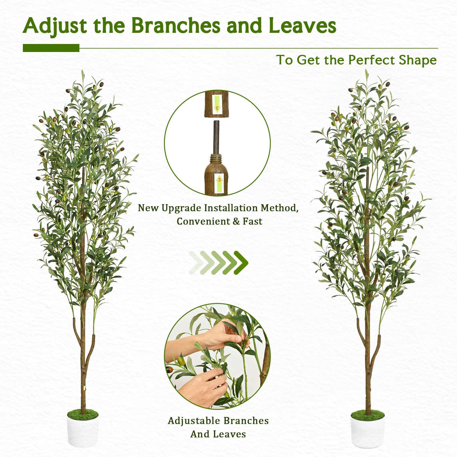 Waipfaru tree styled in a living room to elevate home decor