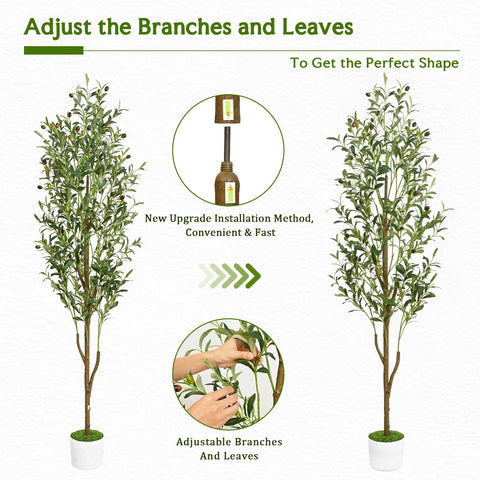 Waipfaru tree styled in a living room to elevate home decor