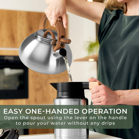 WALDWERK kettle boiling on induction stove, demonstrating broad compatibility benefit