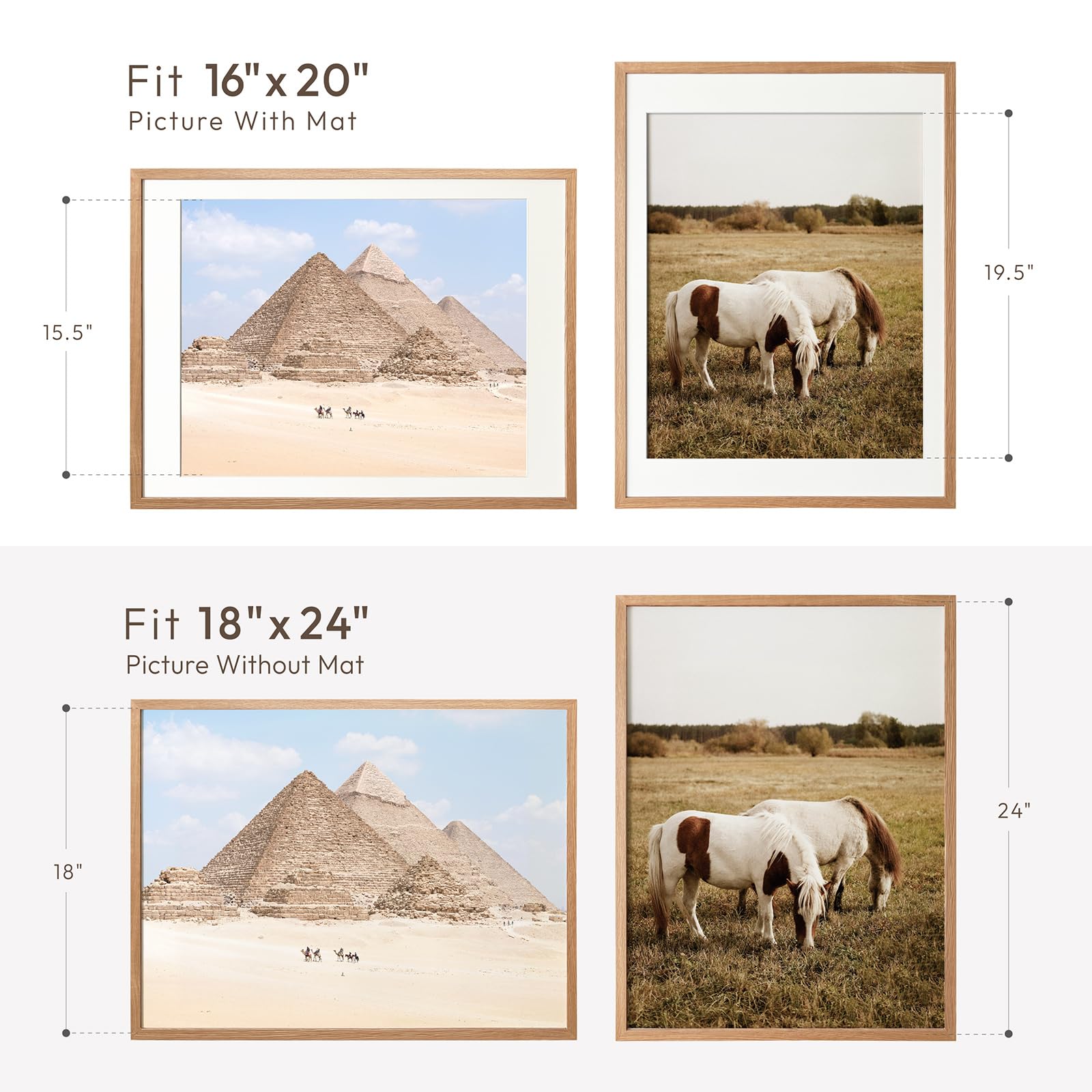 wallwisy plexiglass detail showing clear, scratch-resistant cover for safe display benefit