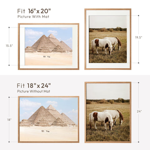 wallwisy plexiglass detail showing clear, scratch-resistant cover for safe display benefit