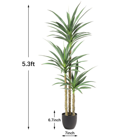 Waoops on sheltered balcony, weather-resistant styling for outdoor spaces