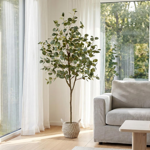 Warmplants eucalyptus styled in a living room, creates cozy inviting atmosphere