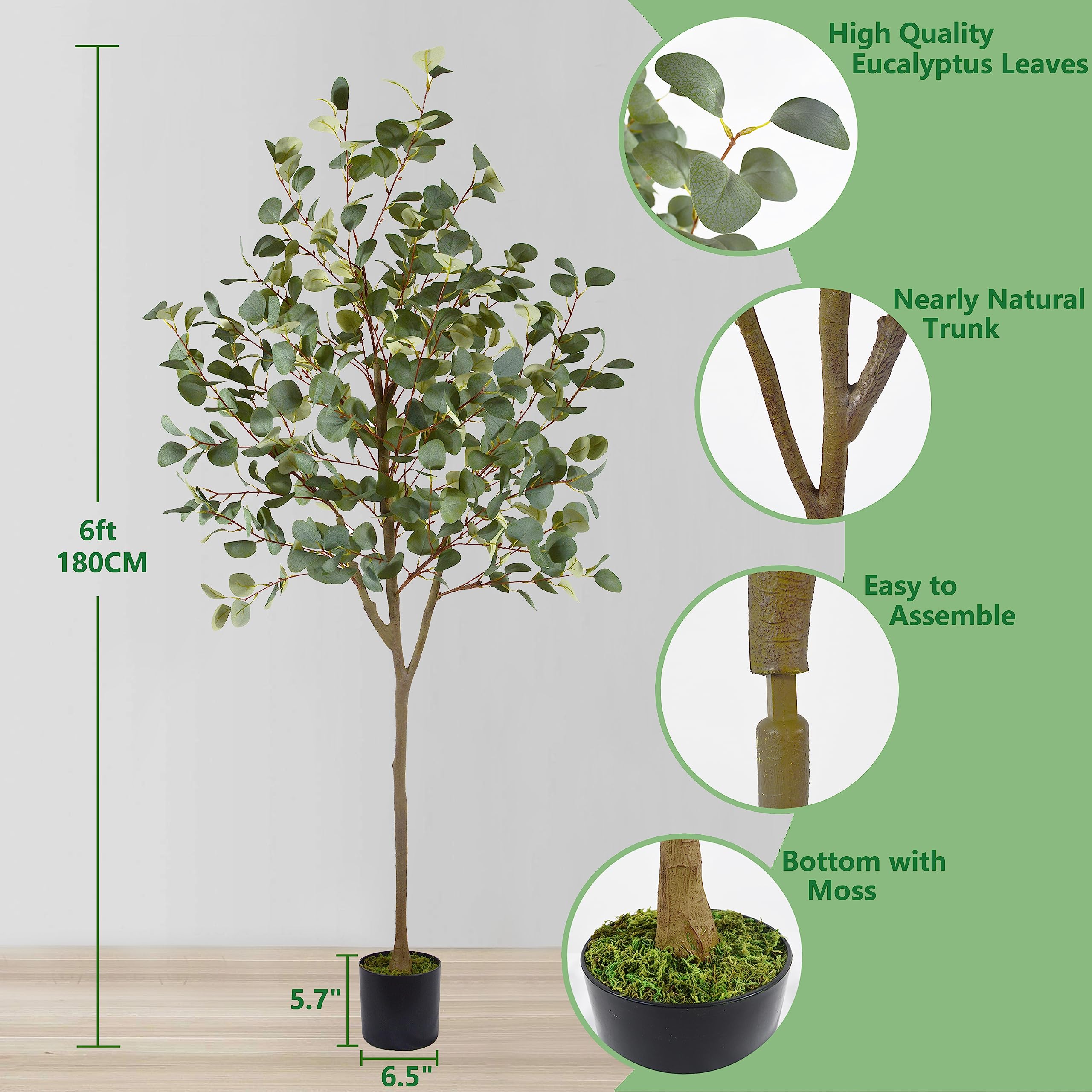 Warmplants black pot and base, stable support for worry-free indoor display