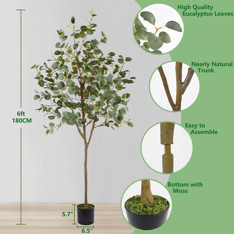Warmplants black pot and base, stable support for worry-free indoor display