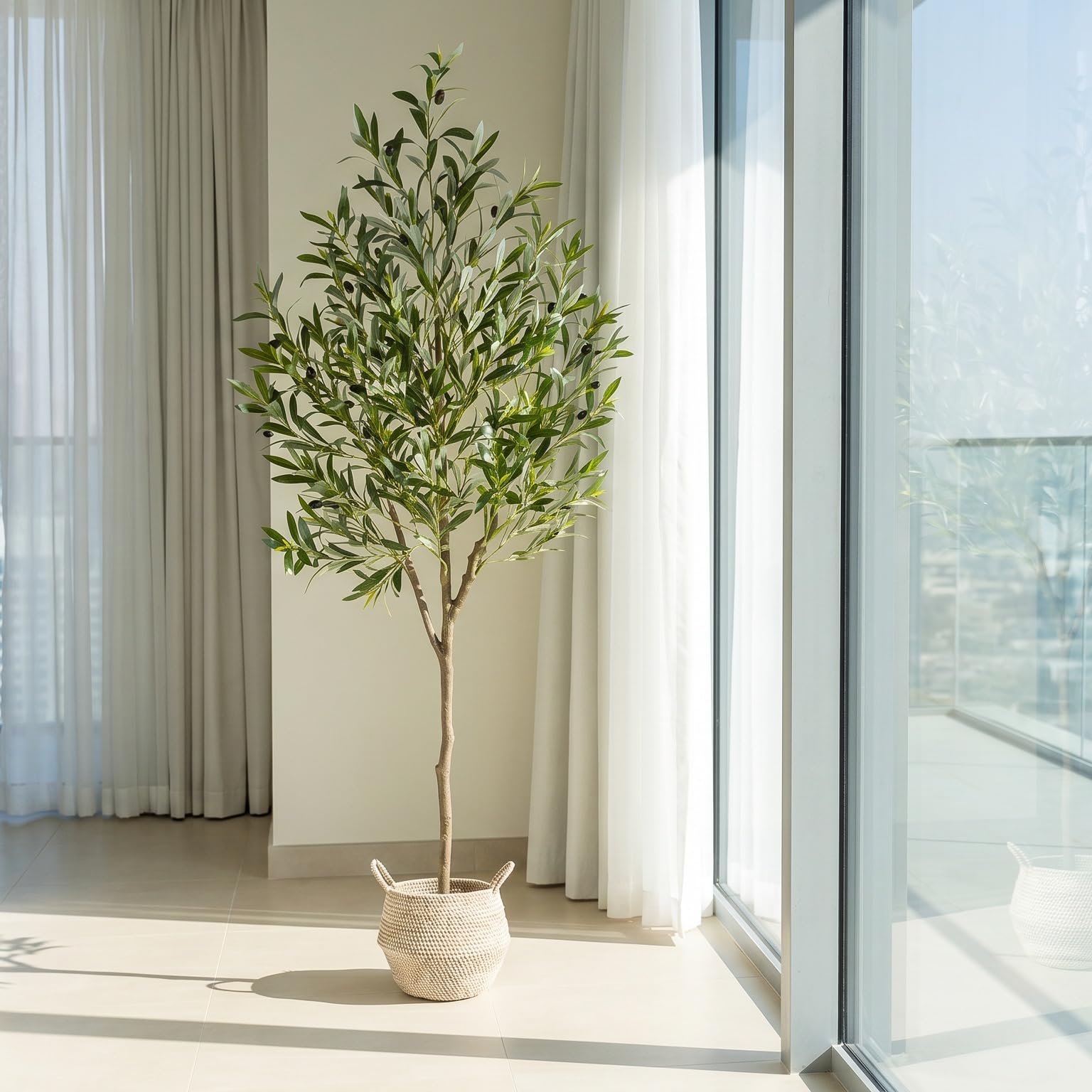 Warmplants height next to sofa demonstrates six foot scale for rooms