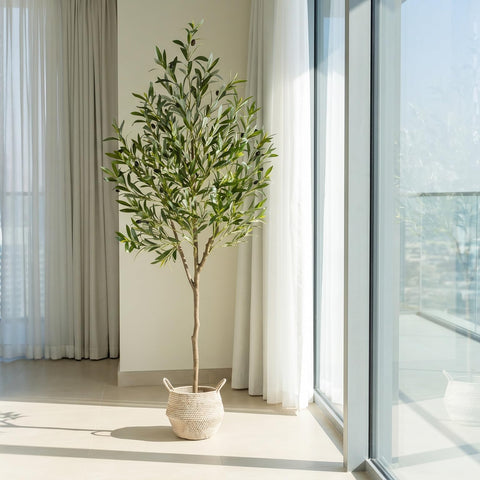 Warmplants height next to sofa demonstrates six foot scale for rooms