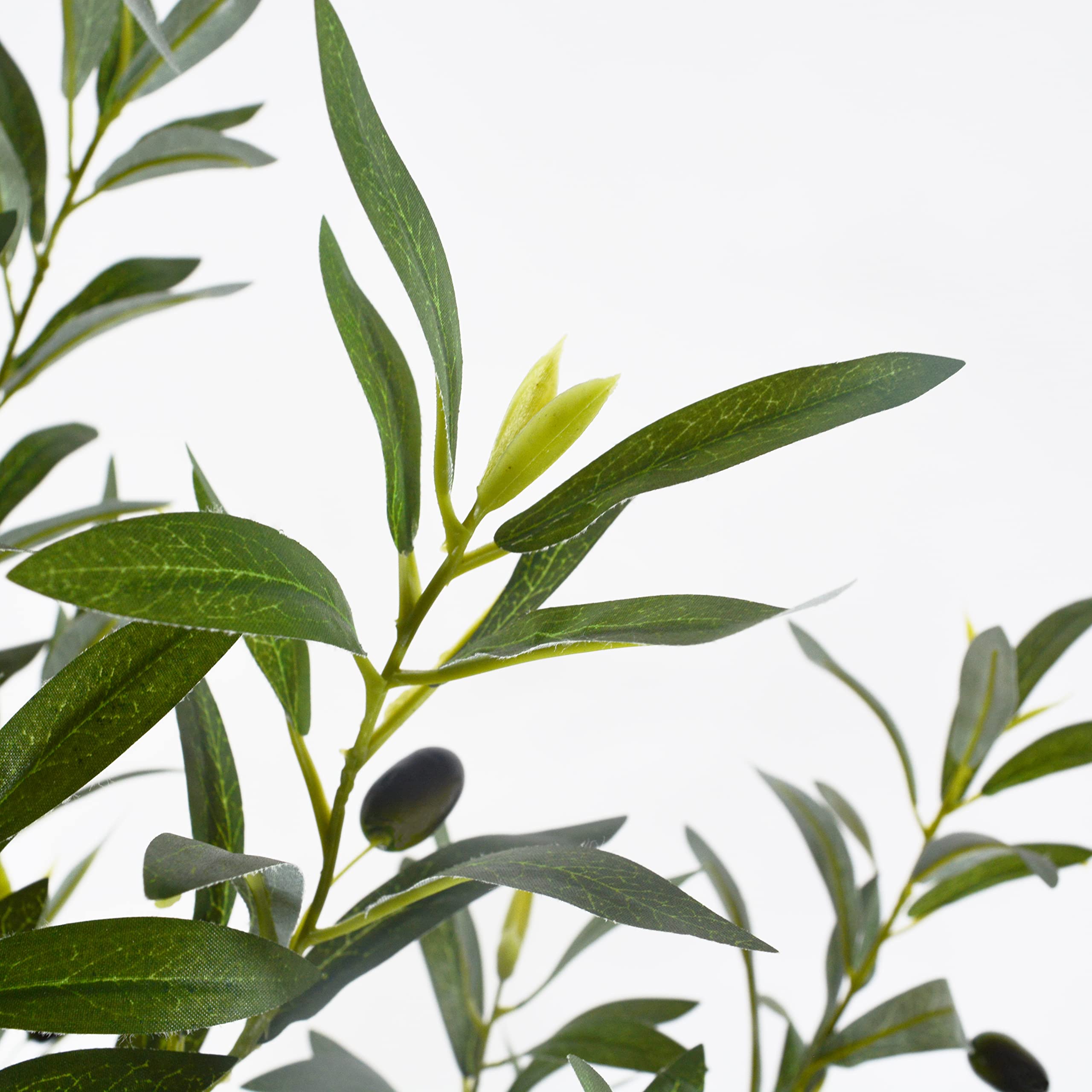 Warmplants tree staged in living room brightens space without upkeep