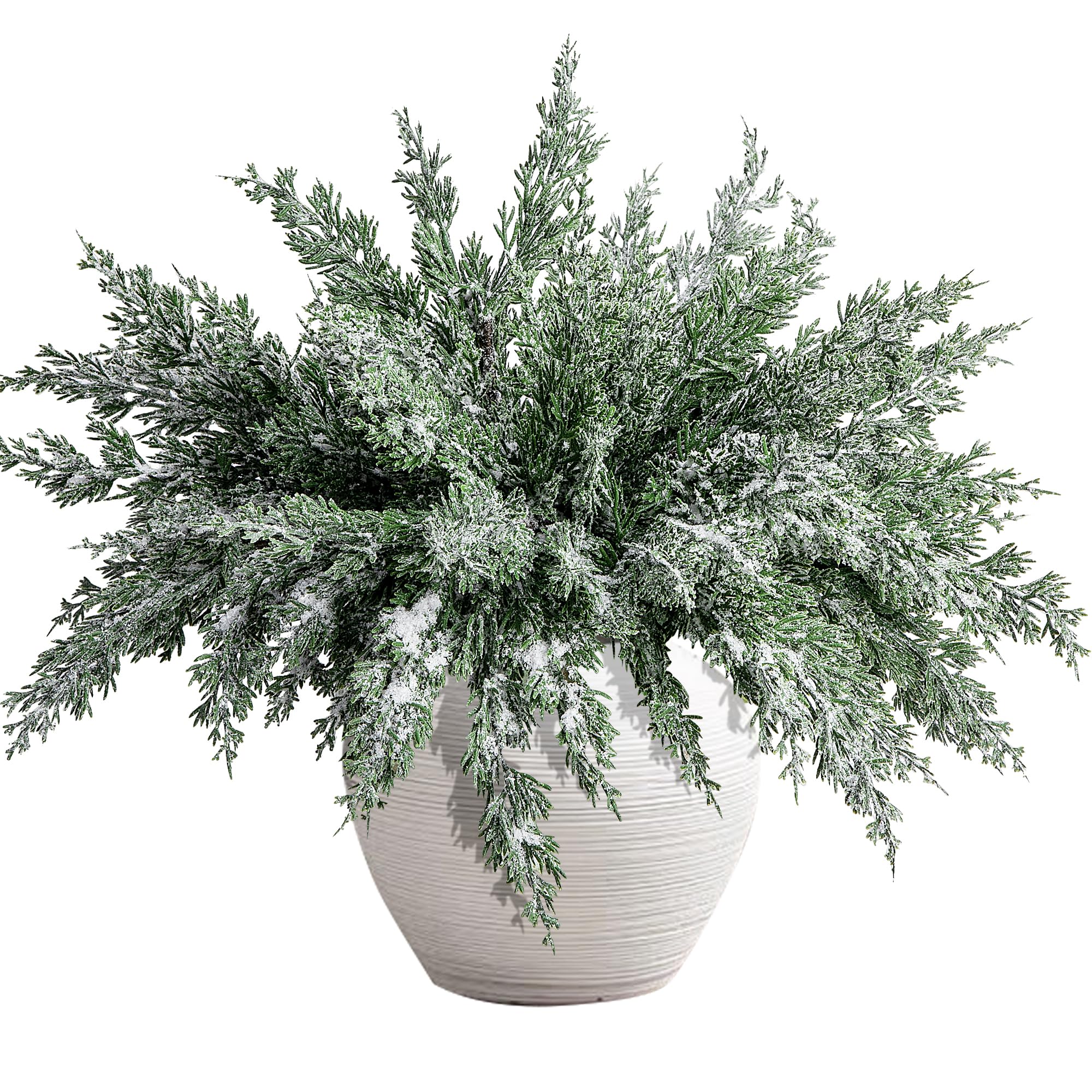 Watayo front view of 10 snowy pine sprigs showing full set and packaging benefit