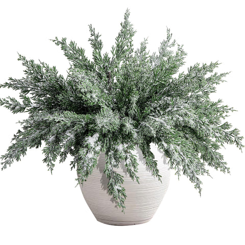 Watayo front view of 10 snowy pine sprigs showing full set and packaging benefit